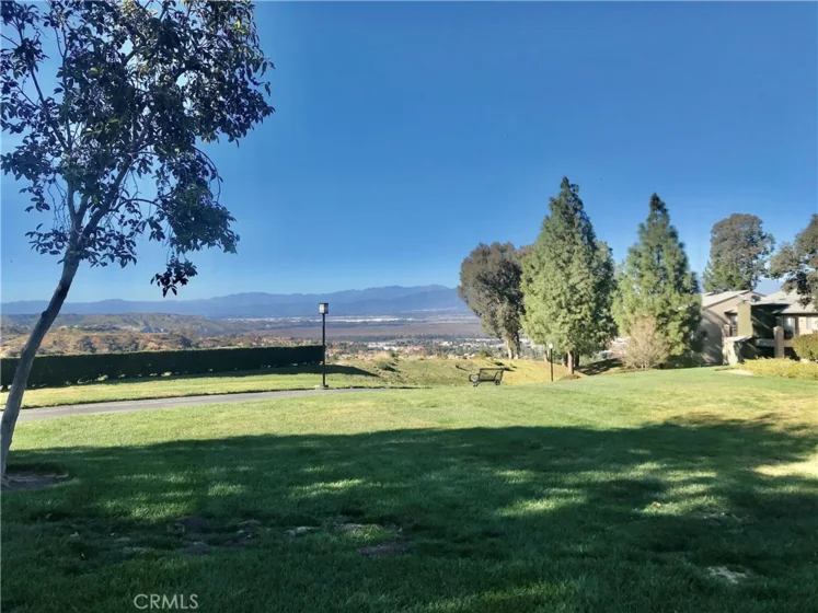 2612 Avenida Del Vista #203 photo 24