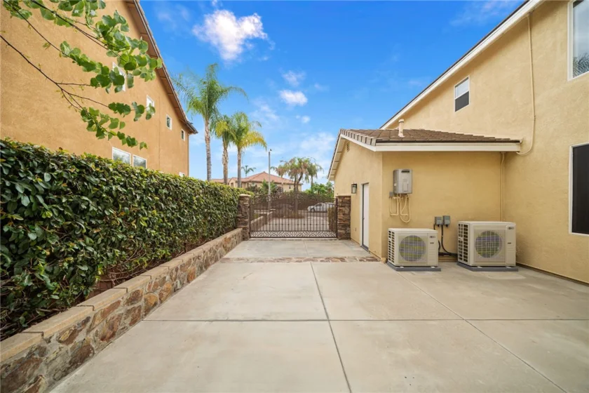 26352 Palm Tree photo 67