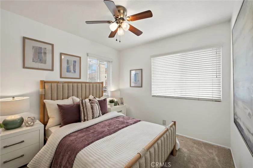 26907 Begonia photo 30