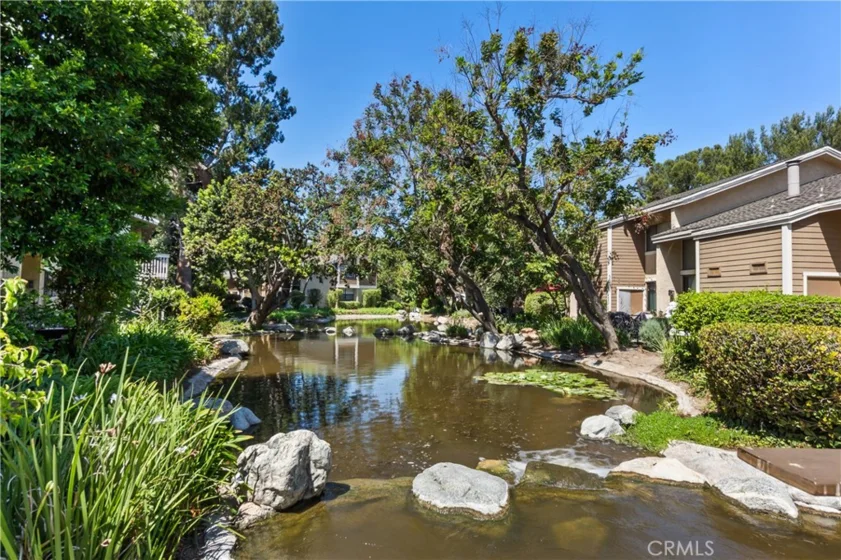 268 Pineview photo 24
