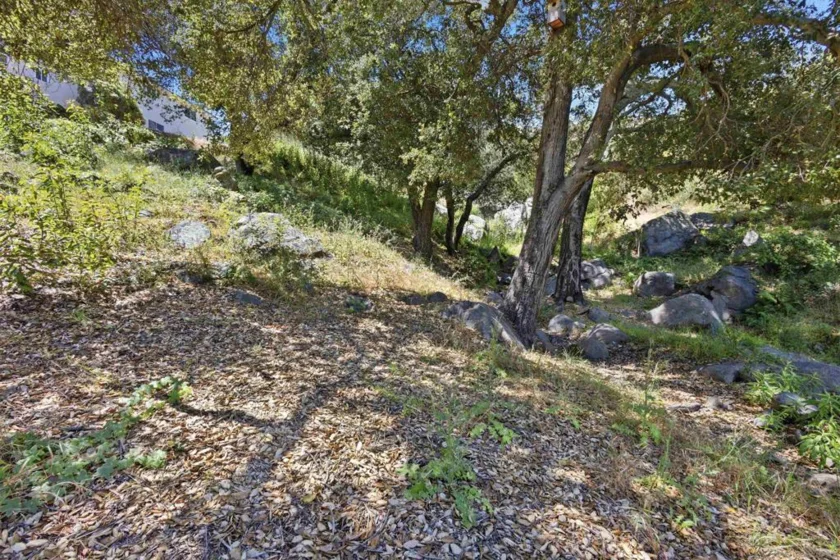 18380 Avenida Caleta photo 47
