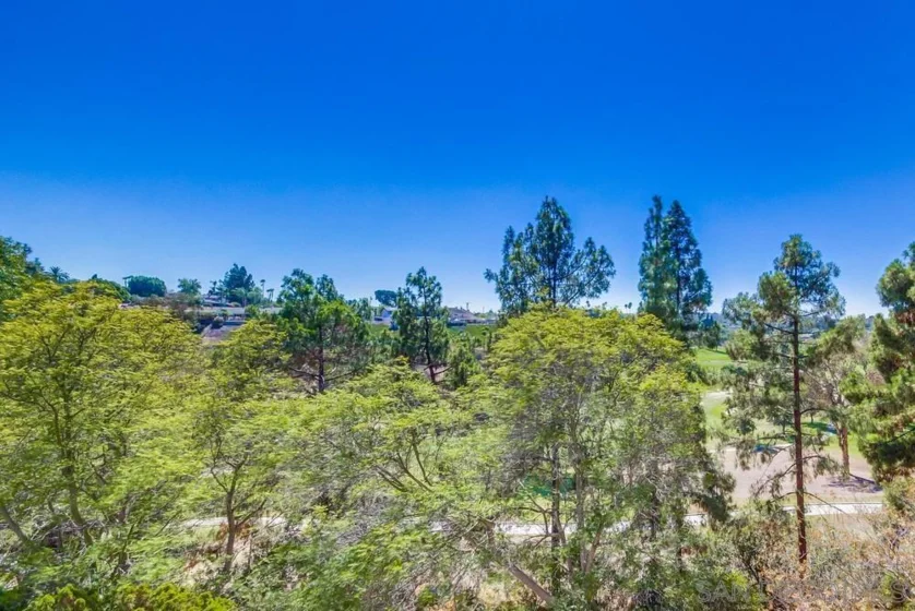 7838 Cowles Mountain Court #C32 photo 15