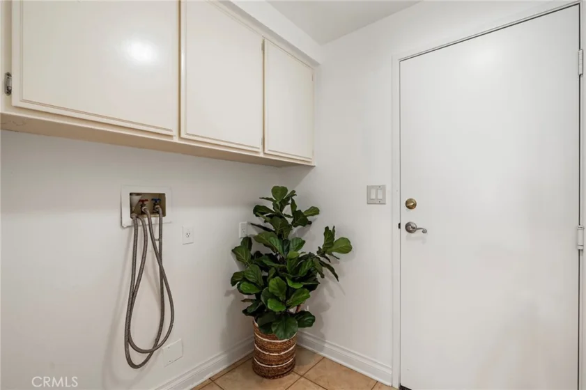 26907 Begonia photo 23