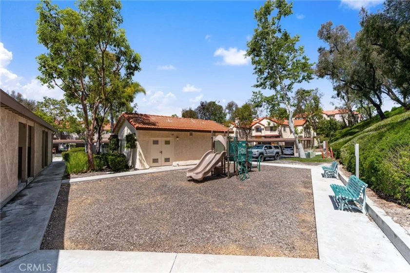 21256 Camelia photo 29