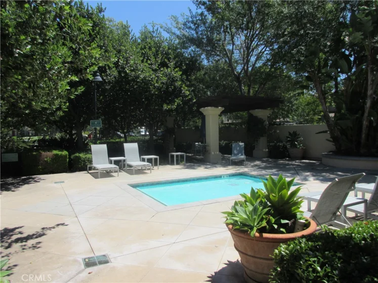 65 Figtree photo 41