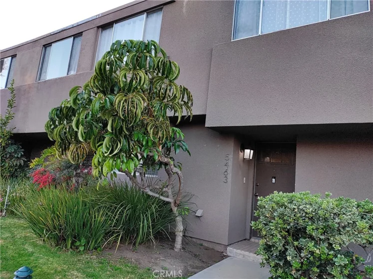 5463 Lindley Avenue photo 1