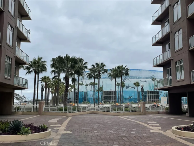 488 E Ocean #1518 photo 4