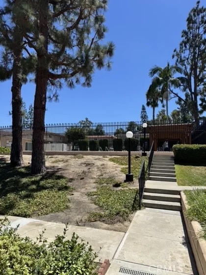 831 Las Lomas Drive photo 9