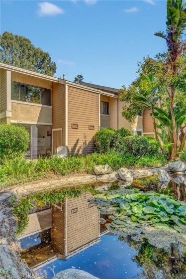 247 Pineview photo 7