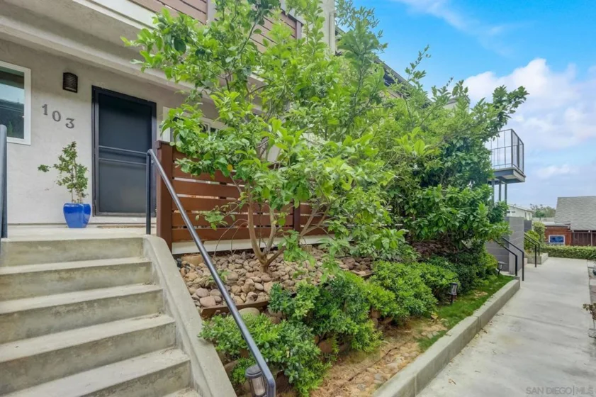3649 Louisiana Street #103 photo 1