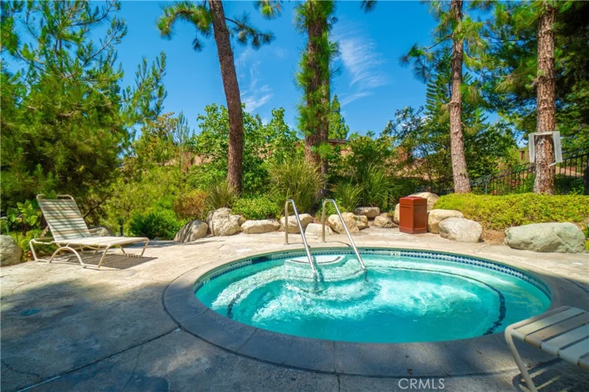 2752 Pine Creek Circle photo 39