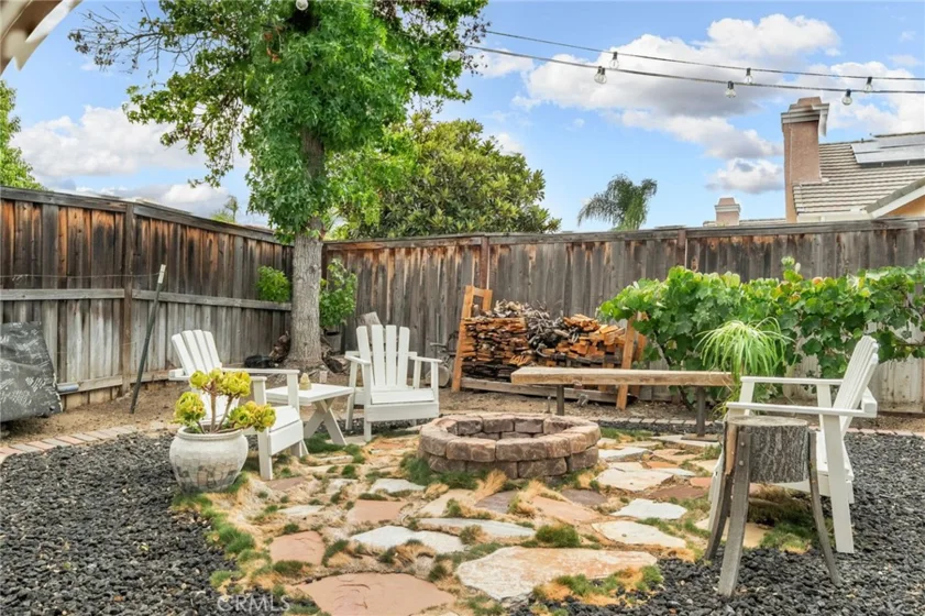 25401 Lacebark photo 48