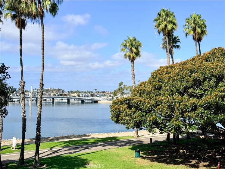 5209 Marina Pacifica photo 11