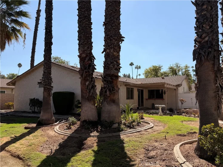 6631 Wintertree Drive photo 13