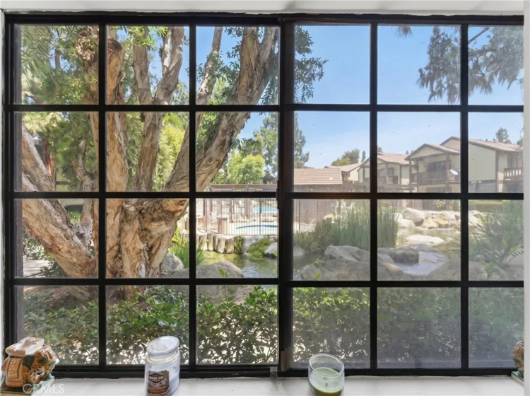 13946 Spring Water Court photo 9