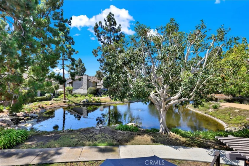 27025 E Mill Pond #32 photo 21