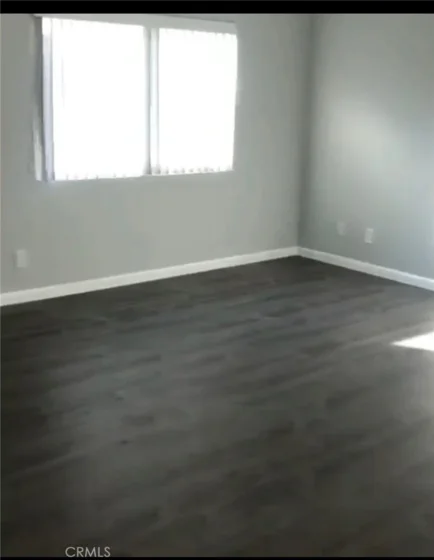 21128 Gladiolos photo 3