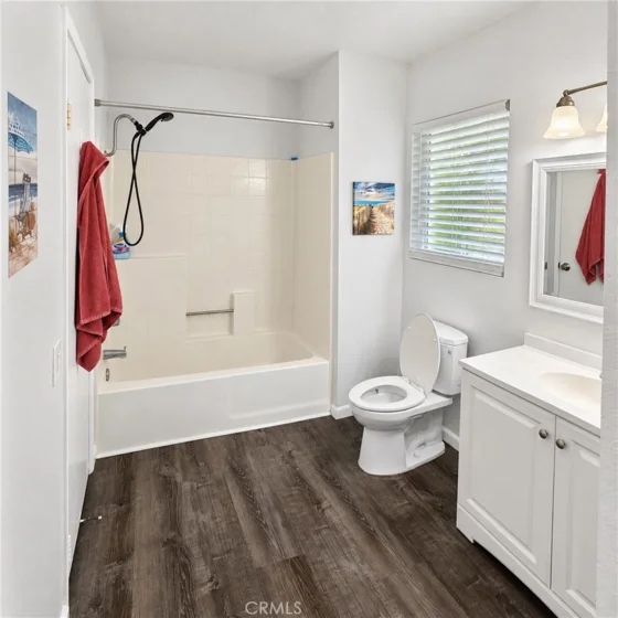 21128 Gladiolos photo 15
