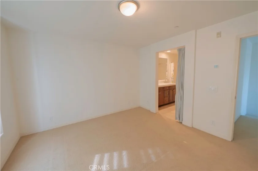 1333 Abelia photo 12