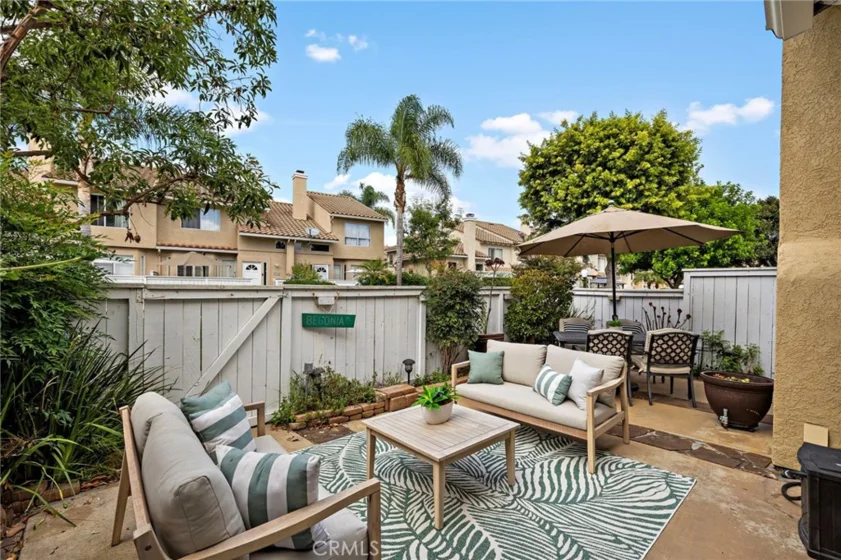 26907 Begonia photo 2