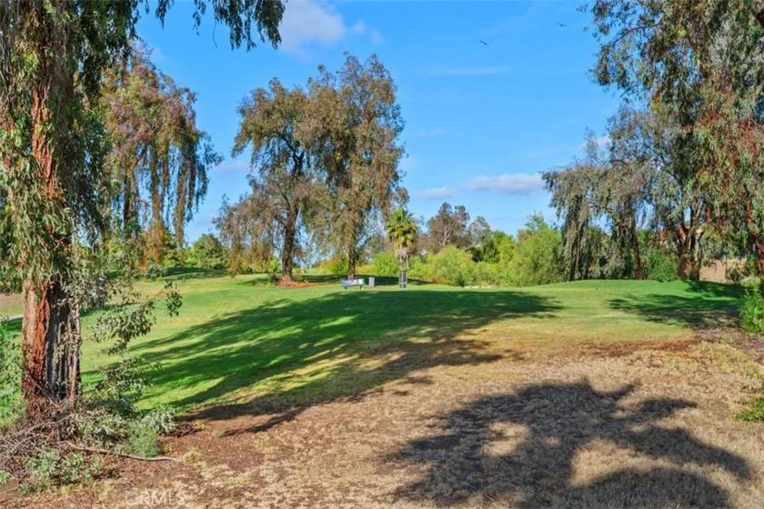 38286 Members Club Drive photo 29