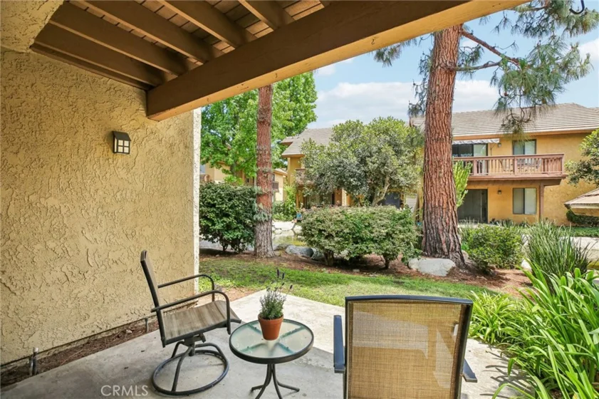 288 Tangelo photo 34