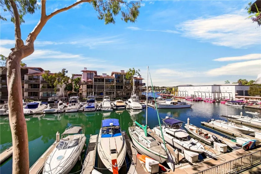 6229 N Marina Pacifica photo 31