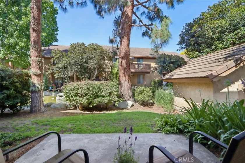 288 Tangelo photo 22