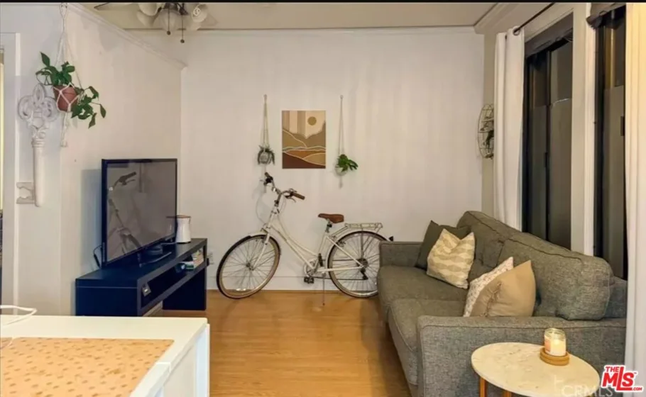 315 W 3rd Street #203 photo 6