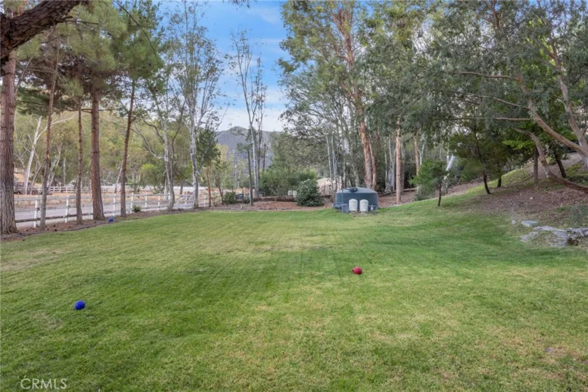 42761 Juniper photo 56