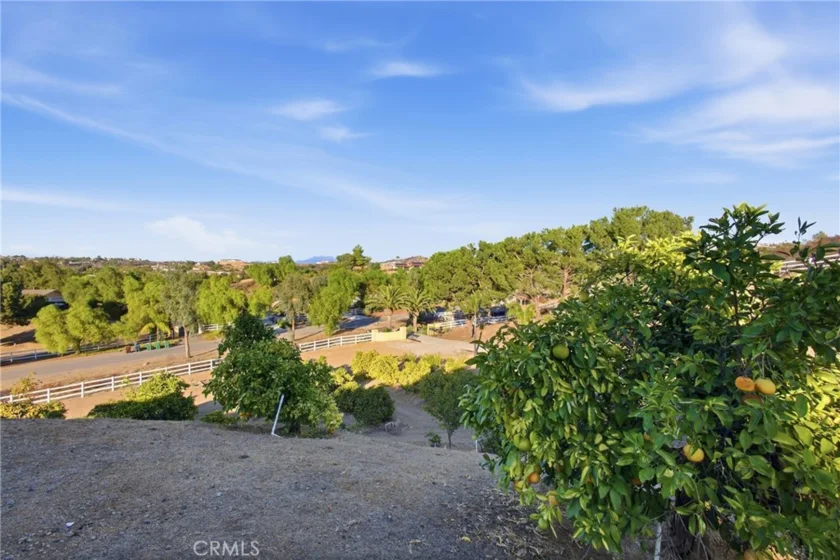 38311 Chaparral Drive photo 36