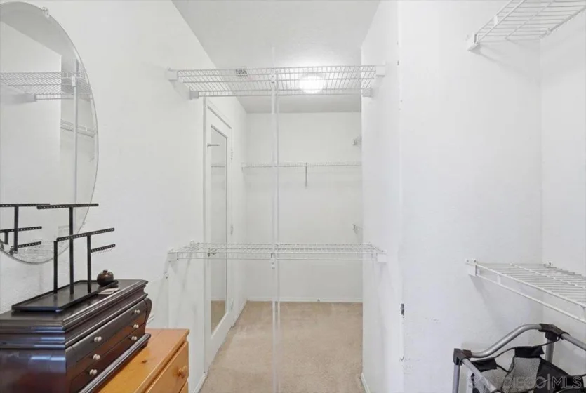35679 Bowervine Place photo 33