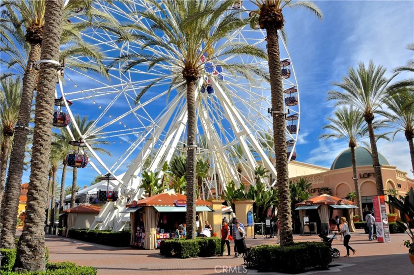 17 Canopy photo 56