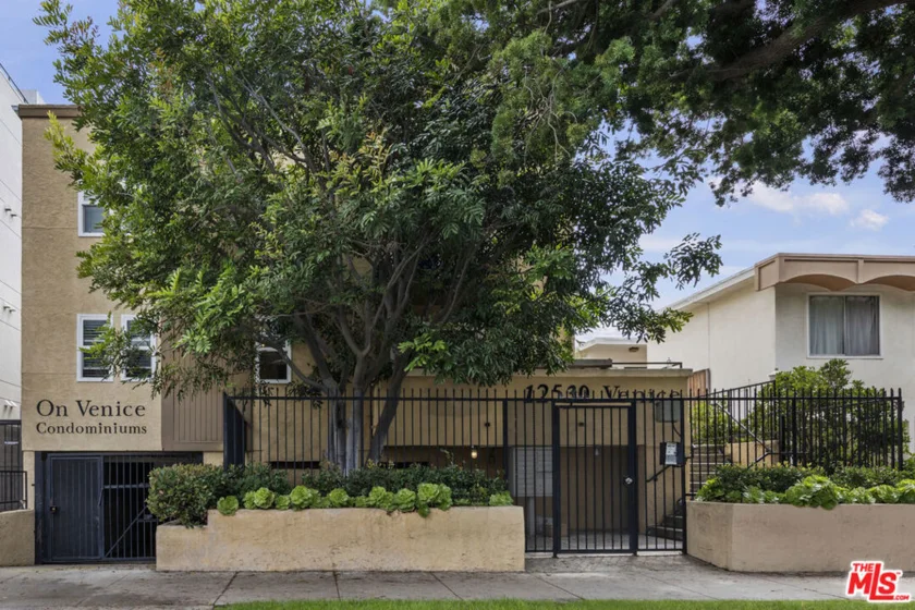 12530 Venice Boulevard #3 photo 19