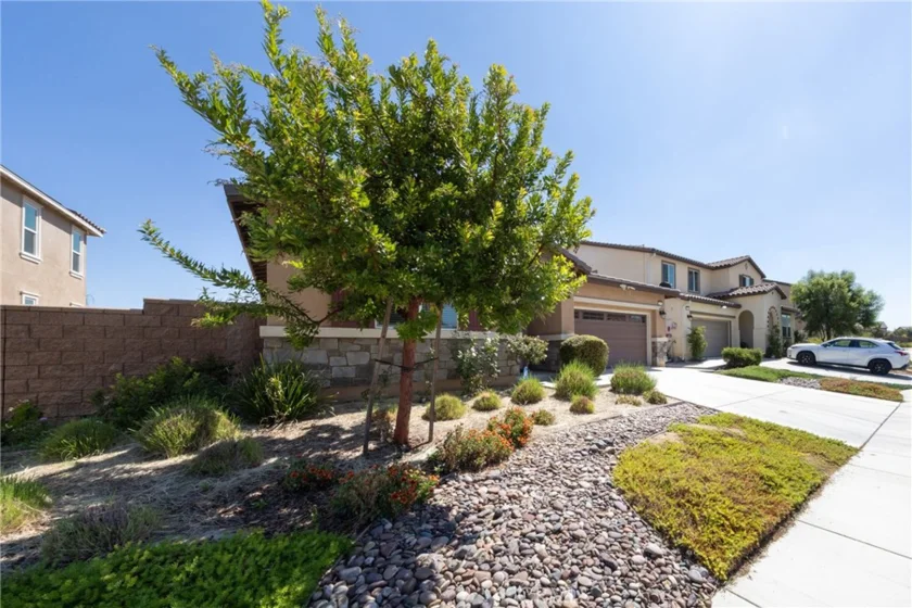 34204 Chenille photo 43