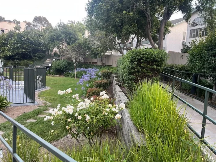 8812 Spring Canyon Drive photo 5