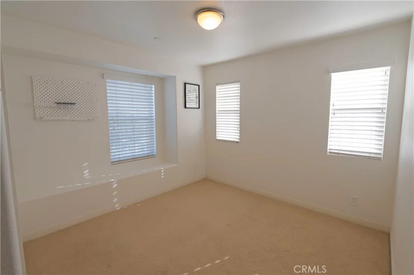 1333 Abelia photo 19