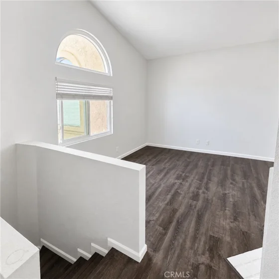 21128 Gladiolos photo 14