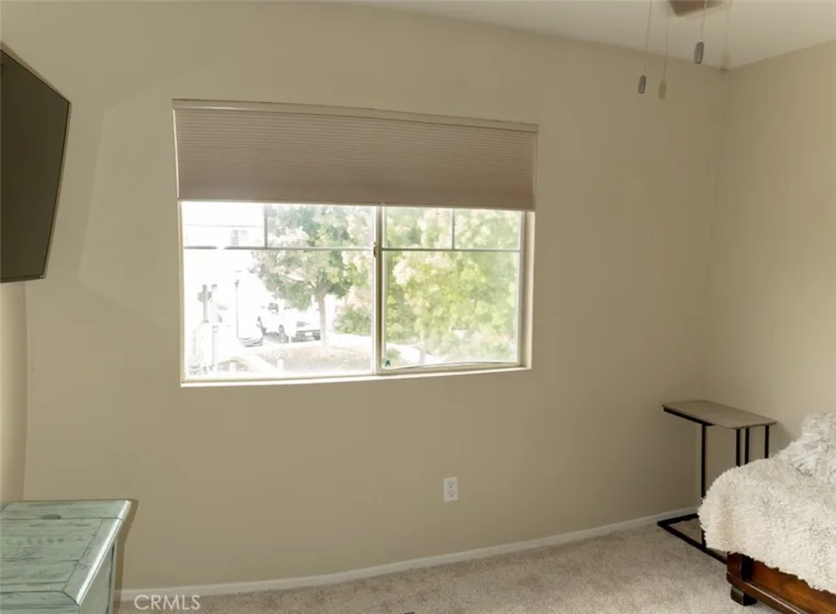 33634 Emerson #B photo 22