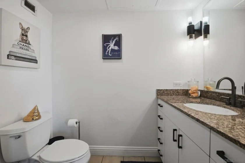 425 W Beech #1702 photo 17