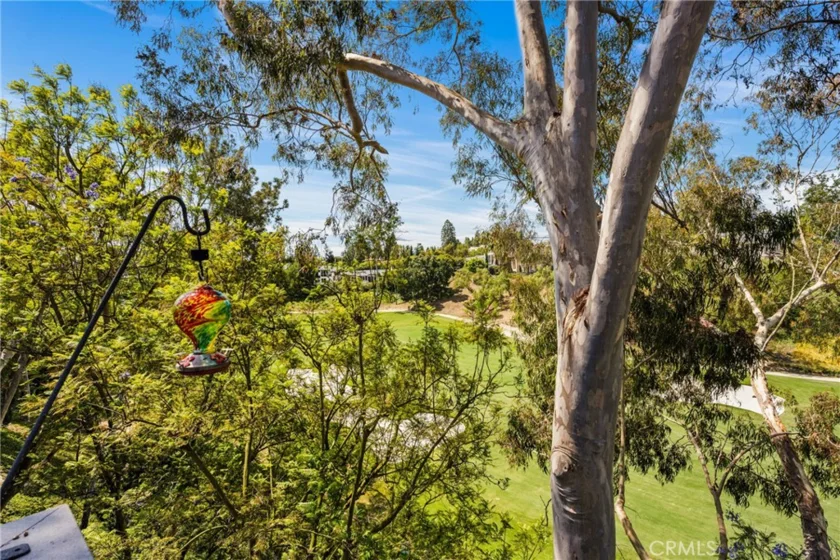 9 Canyon Island Drive photo 7
