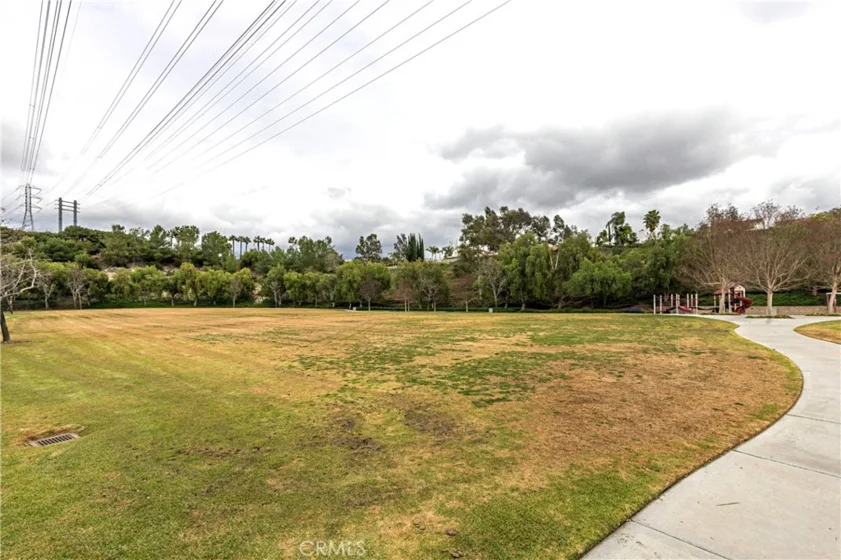 21605 Fernbrook photo 59