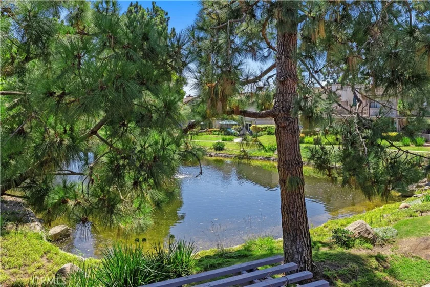 26972 Mill Pond Road #30 photo 17