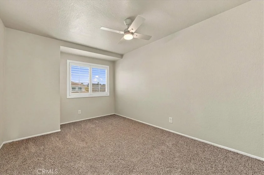 40153 Starling photo 30