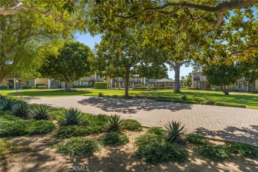 3165 College photo 25
