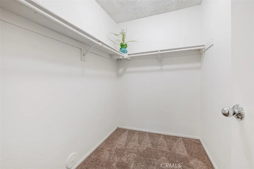 36 Rainwood photo 13