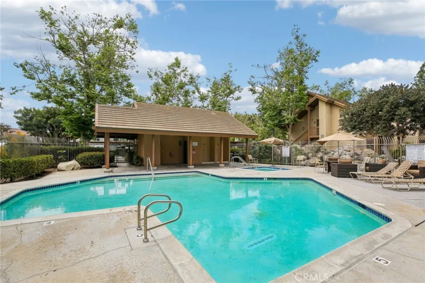 288 Tangelo photo 38