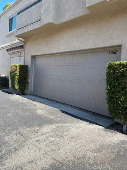 21162 Gladiolos photo 3