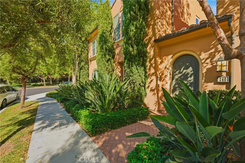 240 Mayfair photo 11