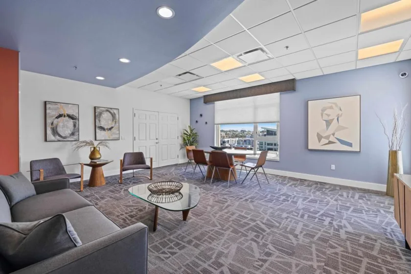427 9th Avenue #801 photo 10
